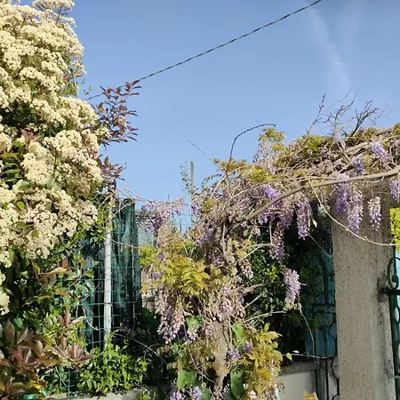 La Candelora Hébergement de vacances
