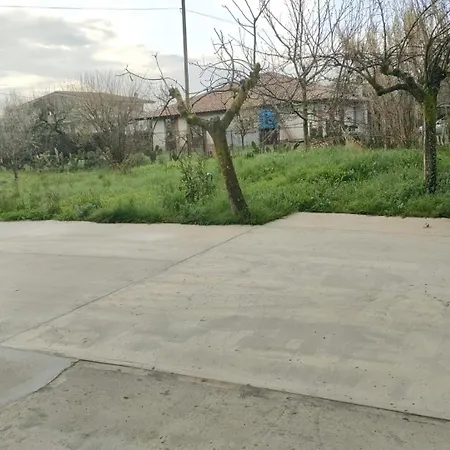 La Candelora *