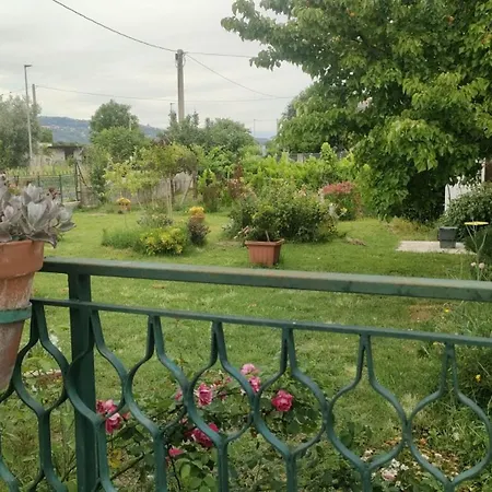 La Candelora Ticchiena